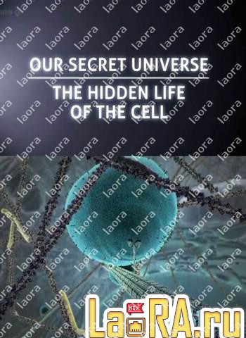 Our Secret Universe The Hidden Life Of The Cell Site